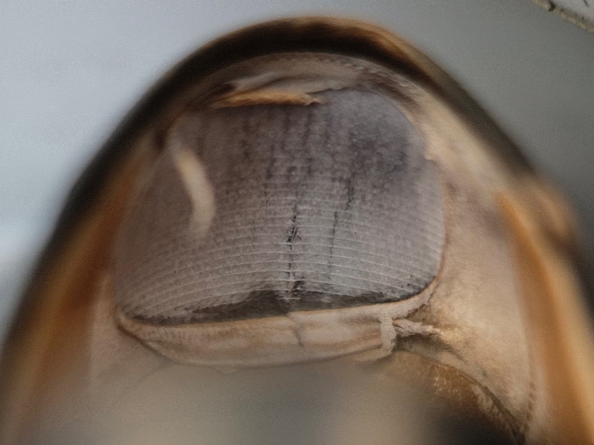 SHOE KEYS Bar【シューキーズバー】徳島　靴修理